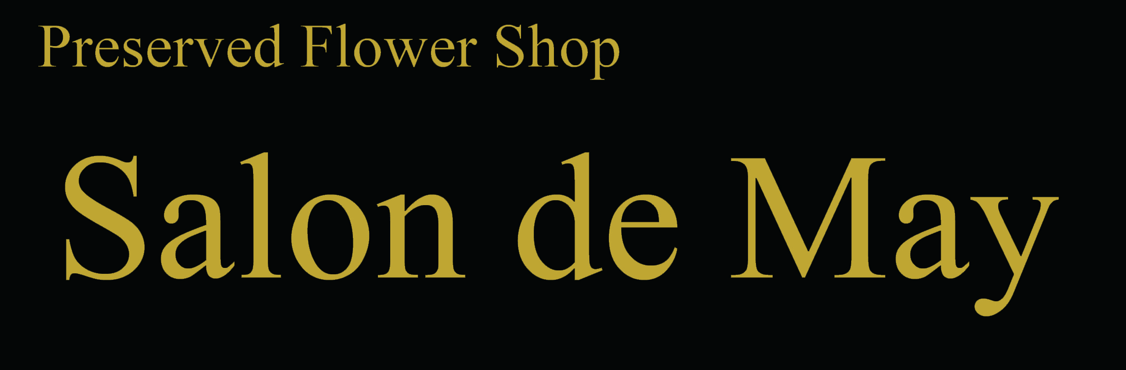 Salon de May