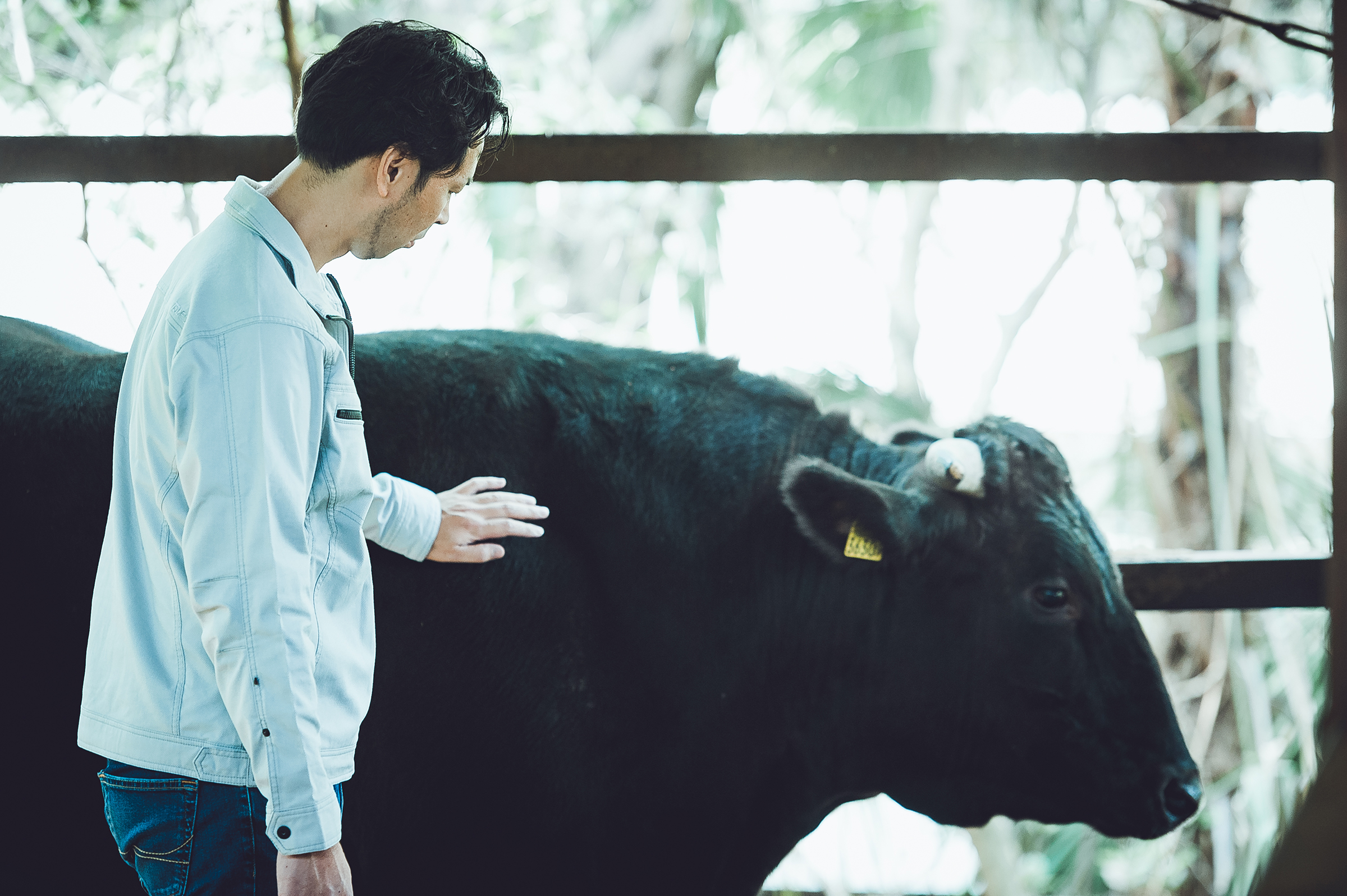 肉の旨みへのこだわり